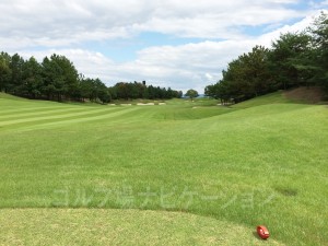 レディスティからの眺め。池の前方なのでティショットは打ち上げ。