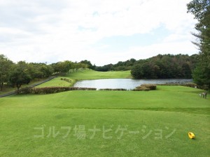 レギュラーティからの眺め。池越え。