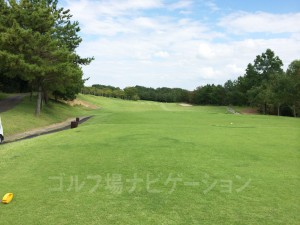 レギュラーティからの眺め。打ち上げです。