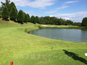 レディスティからの眺め。池越えあり。