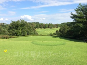 レギュラーティからの眺め。池越えですが、池は見えません。