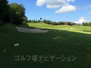 池に落としたらこちらのドロップエリアから