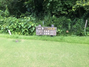 センチュリー三木ゴルフ倶楽部 OUTコース 3番ショートホール レギュラーティからの距離は160ヤード