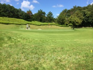 池に落としたらこちらのドロップエリアから