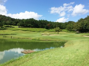 カート道からの眺め