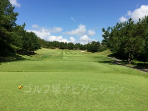 レギュラーティからの眺め。打ち上げです。