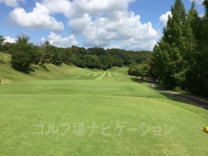 レギュラーティからの眺め