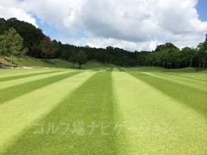 ティショットからグリーンまで緩やかな上りが続きます。