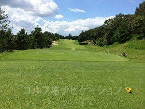 レギュラーティからの眺め