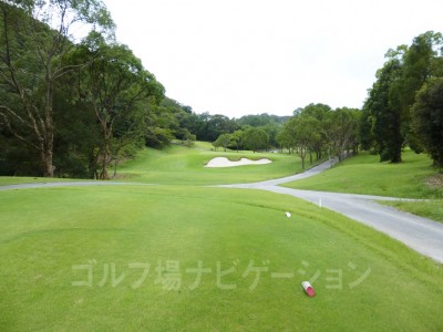 レディスティからの眺め。池の左側から。池越えないです。