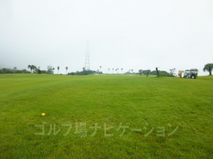 特設ティからの眺め