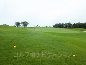 特設ティからの眺め