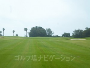 kuroshio_taiheiyo_3-7