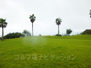 天気が良ければ太平洋を望めます。