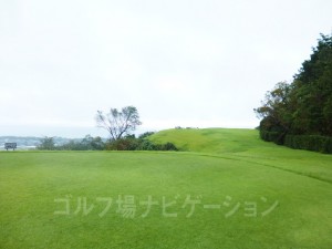 海の方へ出っ張ってる場所がトーナメントで使用するティ。