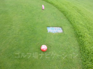 レディスティからの距離は305ヤード