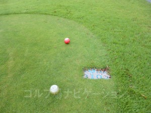 レディスティからの距離は310ヤード