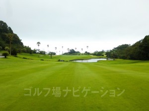 グリーン手前に池あり