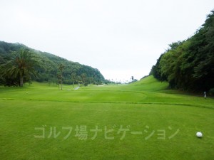 レギュラーティからの眺め。やや打ち下し