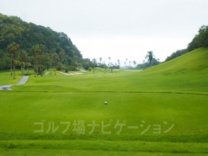左下がりの傾斜なので、ティショットはやや右サイド狙い