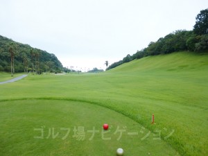 レディスティからの眺め