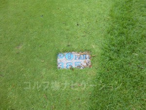 Kochi黒潮カントリークラブ 太平洋コース8番ミドルホール、レギュラーティからの距離は385ヤード