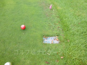 レディスティからの距離は290ヤード
