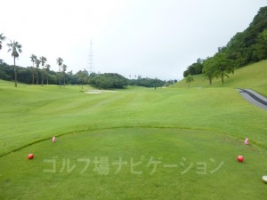 レディスティからの眺め