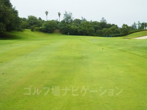 セカンドショットはかなりの打ち上げ。グリーン面は見えません。