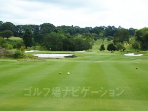 高低差はなく、池とバンカーを越え。