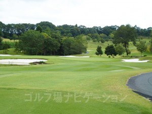 グリーンはかなり横長