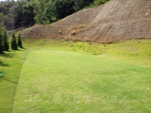 アプローチ練習場。綺麗ですが、広くはないです。