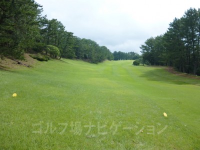 特設ティからの眺め。ここら辺から緩やかな上り。