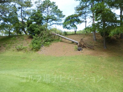 台風11号の爪痕