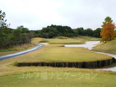 池のようなバンカー。こんなのが幾つもあります。