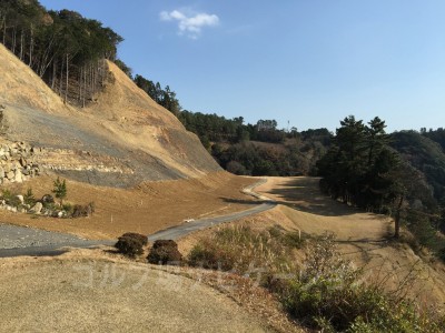 左サイドの山が気になる左ドッグレッグのミドルホール。土が剥き出しのままです。フェアウェイはほとんどないです。