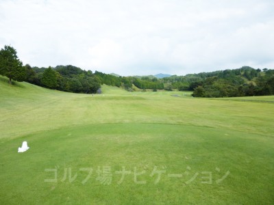 レギュラーティからの眺め