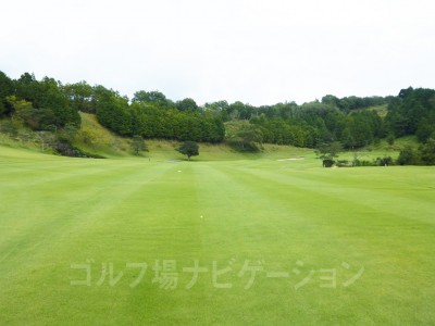 左右が狭いのでコントロール重視