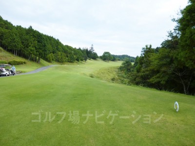 もともとはレギュラーティ。コンペティションティグランド。