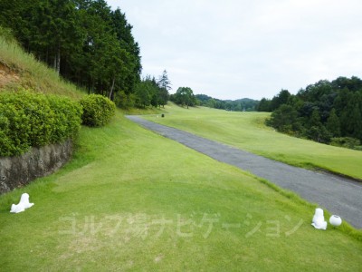 前方に移動させられたレギュラーティグランド。