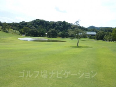 ビーチバンカーと池がなんとも美しいホール