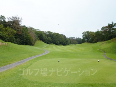 飛距離が出るならショートカットがお薦め。奥はかなり開けてます。