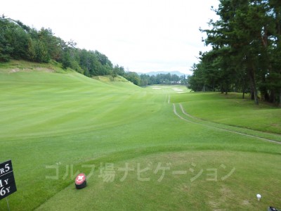 レディスティグランド。こちらはティショットから打ち下しです。