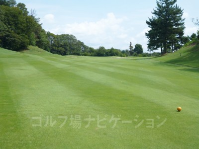 特設ティからの眺め。打ち上げなので距離感に注意。