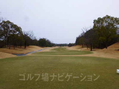 あいにく雨の中スタート。朝早く、どんより暗い中ティオフ