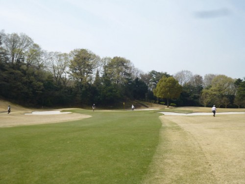 花道が左右広いのでグリーンを狙いやすい