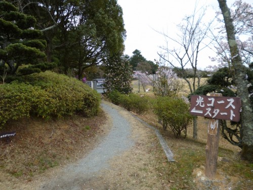 道を越えて少し山道を進むと光コース