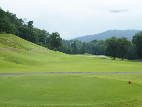 大山アークCC 4番ミドルホール・フロントティからズーム