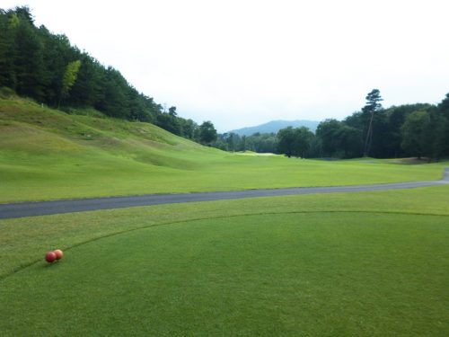 大山アークCC 4番ミドルホール・レディースティ