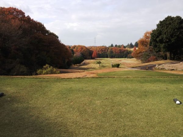 きさいちカントリークラブ 竹コース 8番ホール ロングホール